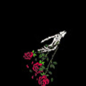 Meet your Posher, Madeline